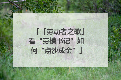 「劳动者之歌」看“劳模书记”如何“点沙成金”